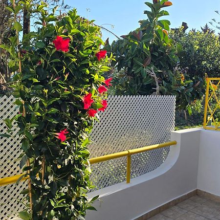 Apartamento Victoria فيلامورا المظهر الخارجي الصورة