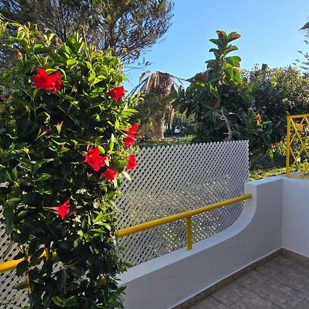 Apartamento Victoria فيلامورا المظهر الخارجي الصورة
