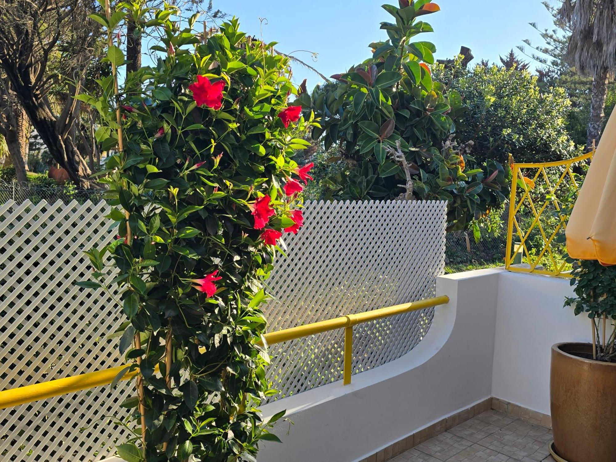Apartamento Victoria فيلامورا المظهر الخارجي الصورة
